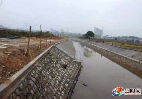 汭罗市弼时镇 白沙河治理显成效，水环境焕发新生