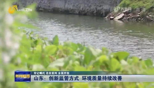 济宁联合执法显成效 南四湖流域优良水体比例达97.2%，水污染治理再谱新篇