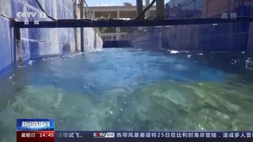 一泓清水入黄河 看汾河治理如何实现同一战场打赢水污染两场战役